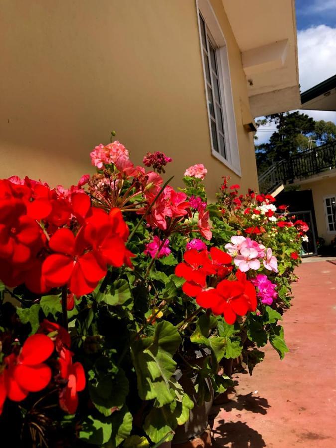 Shevyhaws Hotel Nuwara Eliya Exterior foto